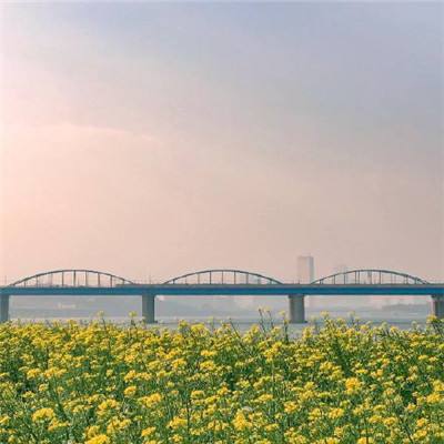 海南环岛旅游公路下浦港大桥顺利贯通